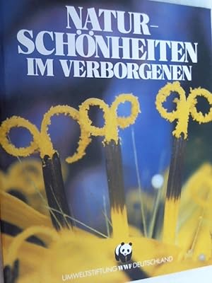 Seller image for Naturschnheiten im Verborgenen. for sale by Versandantiquariat Christian Back