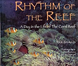 Seller image for RHYTHM OF THE REEF - A Day in the Life of the Coral Reef for sale by Jean-Louis Boglio Maritime Books