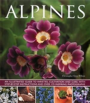 Seller image for Alpines (Paperback) for sale by AussieBookSeller