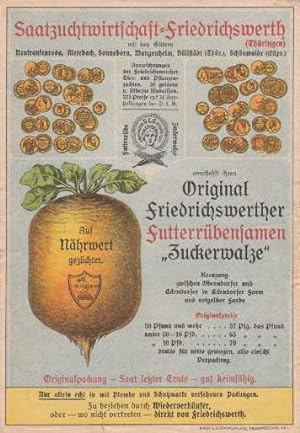 Original Friedrichswerther Futterrübensamen "Zuckerwalze". Zweiseitig bedrucktes farbiges Werbebl...