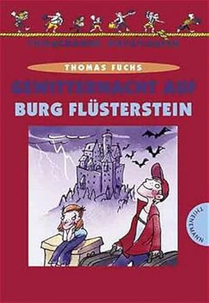 Bild des Verkufers fr Gewitternacht auf Burg Flsterstein zum Verkauf von ANTIQUARIAT Franke BRUDDENBOOKS