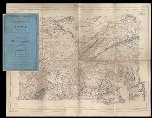 Topographischer Atlas der Schweiz (Siegfriedatlas). Blatt Nr. 393: Meiringen. Massstab 1:50 000.