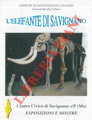 L'elefante di Savignano.