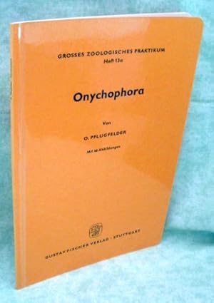 Onychophora.