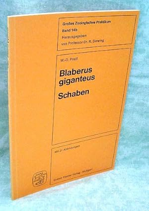 Blaberus giganteus. Schaben; eine Präparationsanleitung im Vergleich mit anderen Blattodea.