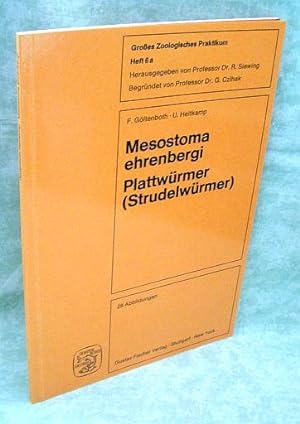 Mesostoma ehrenbergi. (Focke 1836) ; Plattwürmer (Strudelwürmer) ; Biologie, mikroskop. Anatomie ...
