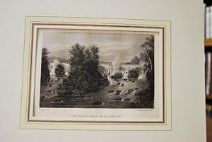 The Little Falls of St. Anthony (Mississippi) Drawn after nature. For the Proprietor: Herrmann J....