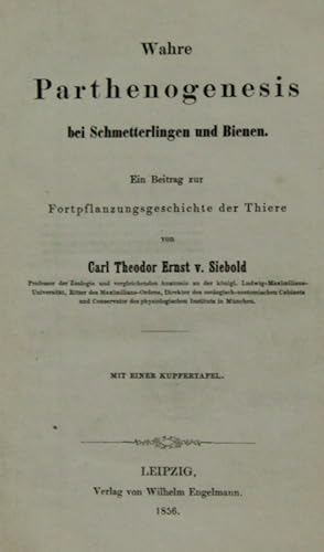 "Wahre Parthenogenesis bei Schmetterlingen und Bienen." - Ein Beitrag zur Fortpflanzungsgeschicht...