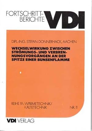 Wechselwirkung zwischen Strömungs- und Verbrennungsvorgängen an der Spitze einer Bunsenflamme. Au...