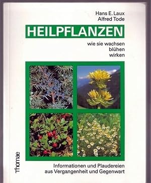 Bild des Verkufers fr Heilpflanzen wie sie wachsen,blhen,wirken zum Verkauf von Clivia Mueller