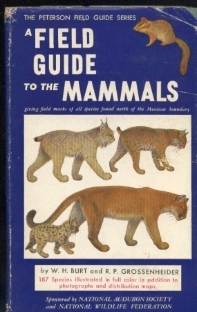 Image du vendeur pour Fieldguide to the Mammals mis en vente par Clivia Mueller