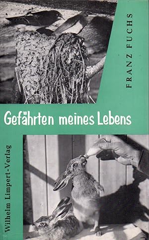 Seller image for Gefhrten meines Lebens for sale by Clivia Mueller