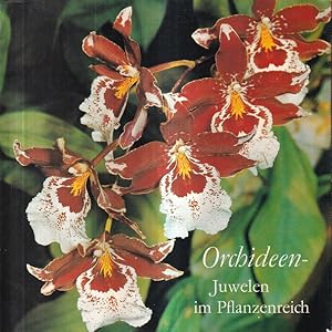 Seller image for Orchideen - Juwelen im Pflanzenreich for sale by Clivia Mueller