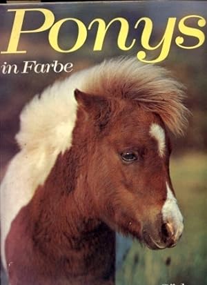 Seller image for Ponys in Farbe for sale by Clivia Mueller