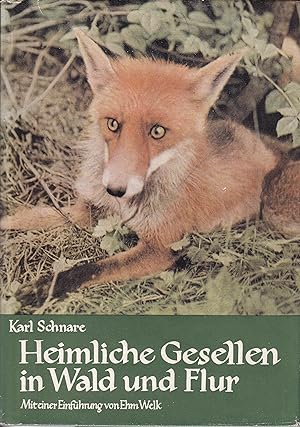 Seller image for Heimliche Gesellen in Wald und Flur for sale by Clivia Mueller