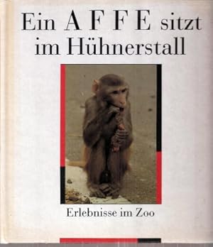 Ein Affe sitzt im Hühnerstall