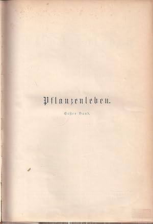 Immagine del venditore per Pflanzenleben 1.Band: Gestalt und Leben der Pflanze venduto da Clivia Mueller