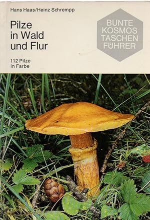 Bild des Verkufers fr Pilze in Wald und Flur zum Verkauf von Clivia Mueller