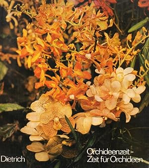 Imagen del vendedor de Orchideenzeit - Zeit fr Orchideen a la venta por Clivia Mueller