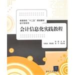 Imagen del vendedor de Accounting Information Practice Guide College five planning materials Accountancy column(Chinese Edition) a la venta por liu xing