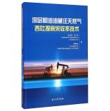 Seller image for Deep heavy oil reservoir stimulation EOR gas injection(Chinese Edition) for sale by liu xing