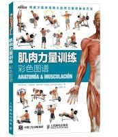 Imagen del vendedor de Color Atlas of muscle strength training(Chinese Edition) a la venta por liu xing