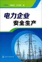 Immagine del venditore per Power Enterprise Safety Production(Chinese Edition) venduto da liu xing