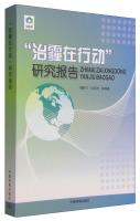 Seller image for Governance haze in Action report(Chinese Edition) for sale by liu xing