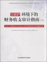 Seller image for The auditing guidelines ERP environment (Vol.2): Oracle EBS and Oracle Hyperion EPM main internal audit and data analysis module(Chinese Edition) for sale by liu xing