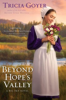 Seller image for Beyond Hope's Valley: A Big Sky Novel for sale by ChristianBookbag / Beans Books, Inc.