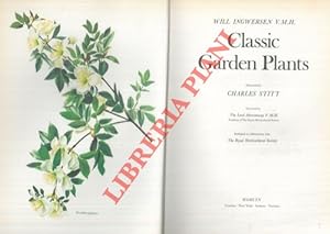 Bild des Verkufers fr Classic garden plants. zum Verkauf von Libreria Piani