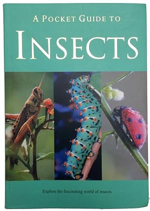 A Pocket Guide to Insects (Pocket Guides)