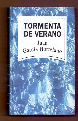 Seller image for TORMENTA DE VERANO for sale by Libreria 7 Soles