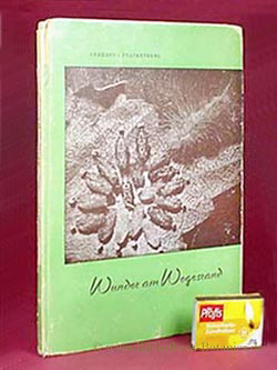 Image du vendeur pour Wunder am Wegesrand. Ein Bilderbuch fr Erwachsene. mis en vente par Bibliotheca Botanica