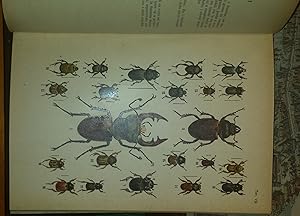 Atlante entomologico (esclusi i lepidotteri). Quaranta tavole a colori con note descrittive. Seco...