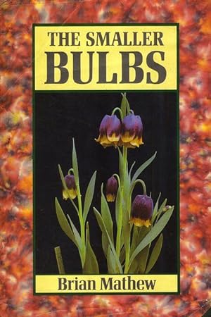 Bild des Verkufers fr The Smaller Bulbs. zum Verkauf von C. Arden (Bookseller) ABA