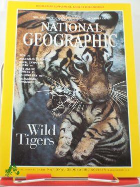 Bild des Verkufers fr 12/1997 Wild Tigers zum Verkauf von Antiquariat Artemis Lorenz & Lorenz GbR