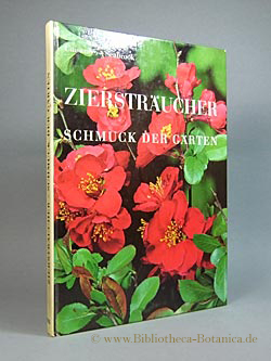 Image du vendeur pour Zierstrucher. Schmuck der Grten. mis en vente par Bibliotheca Botanica