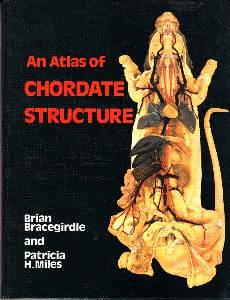 Bild des Verkufers fr Atlas of Chordate Structure. zum Verkauf von Antiquariat Jenischek
