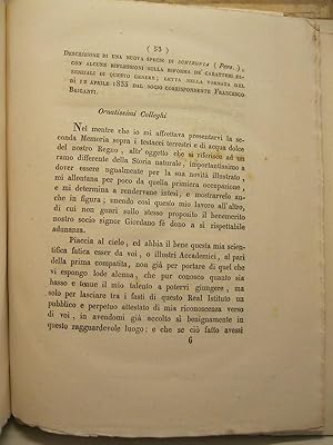 Descrizione di una nuova specie di schizonia (Pers.) con alcune riflessioni sulla riforma de' car...