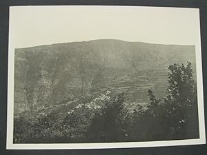 Valle Borbera. Valle del torrente Albirola. Volpara e M. Giarolo (m. 1473)