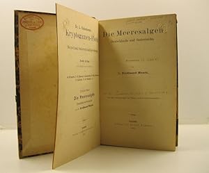 Die Meeresalgen Deutschlands und Oesterreichs bearbeitet von D. Ferdinand Hauck