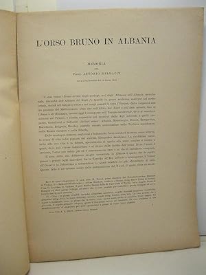 Seller image for L'orso bruno in Italia. Memoria letta nella sessione del 12 marzo 1933 for sale by Coenobium Libreria antiquaria