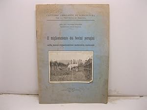 Cattedra ambulante di Agricoltura per la provincia di Perugia - Il miglioramento dei bovini perug...