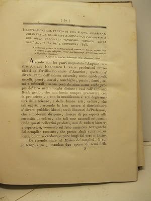 Illustrazione del frutto di una pianta americana chiamata da' Brasiliani zabucajo o iacapucaya