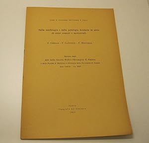 Sulla morfologia e sulla patologia dentaria in serie di crani romani e medioevali Estratto dagli ...