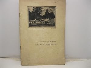 LE BELLE REGIONI DEL PIEMONTE: PINEROLO E IL PINEROLESE.