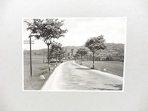 Le Langhe. Val del torrente Cevetta in vista di Priero (m. 475), 29 maggio 1952. Fotografia origi...