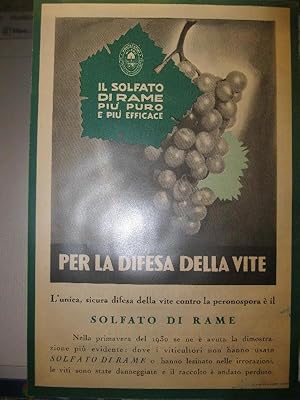 Il solfato di rame piu' puro e piu' efficace per la difesa della vite