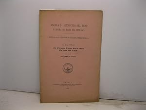 Ancora di Sennuccio del Bene e ancora dei Lauri del Petrarca. Postilla alle 'Questioni di geograf...